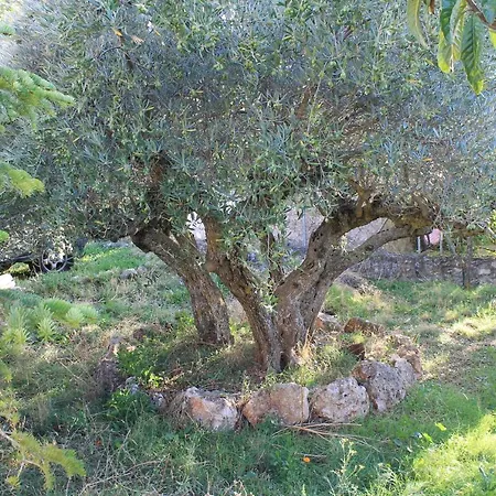 Casa Rural Baobab Romancos Buitenkant foto